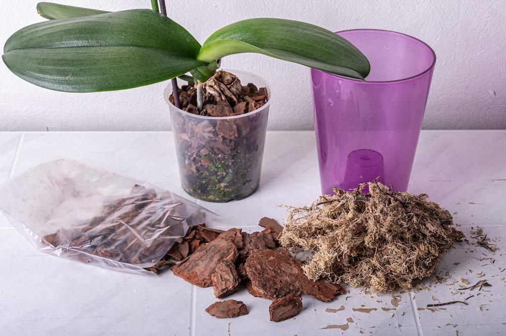 Components for repotting an orchid plant
