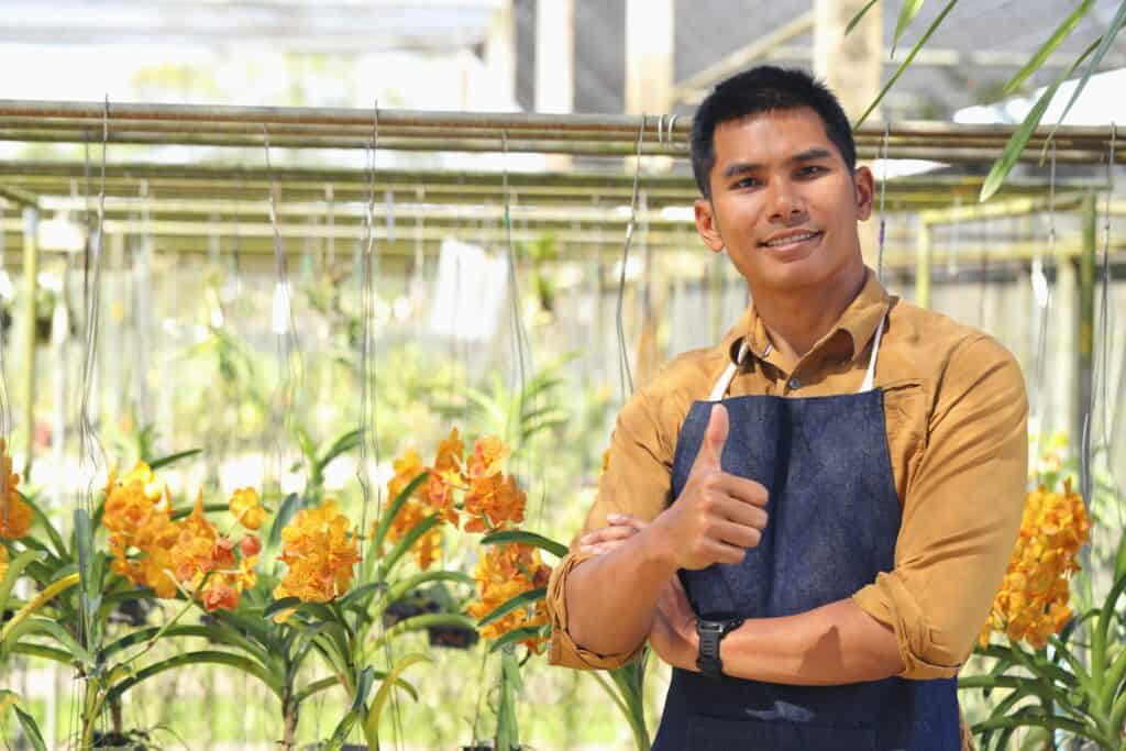 Thai orchid farm staff managing a wholesale Mokara orchid order for export