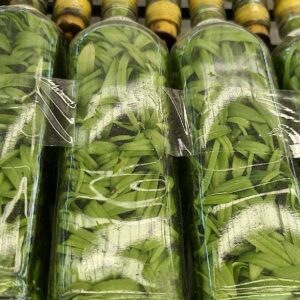 Explore Our Collection Of Thai Orchid Flasks