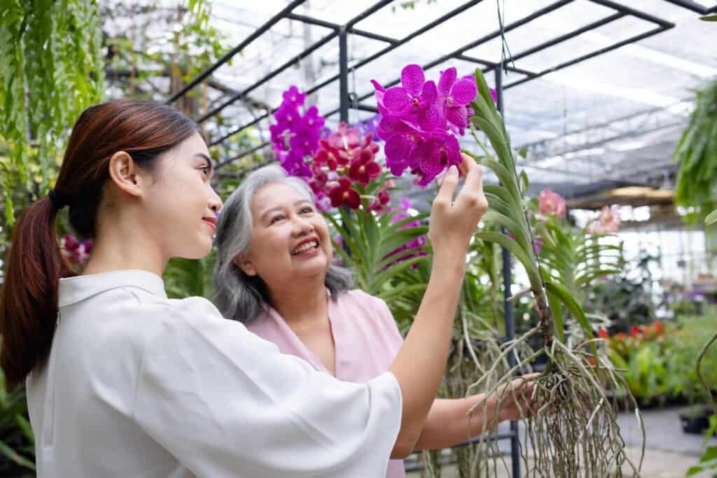 Women admiring hanging Vanda orchids