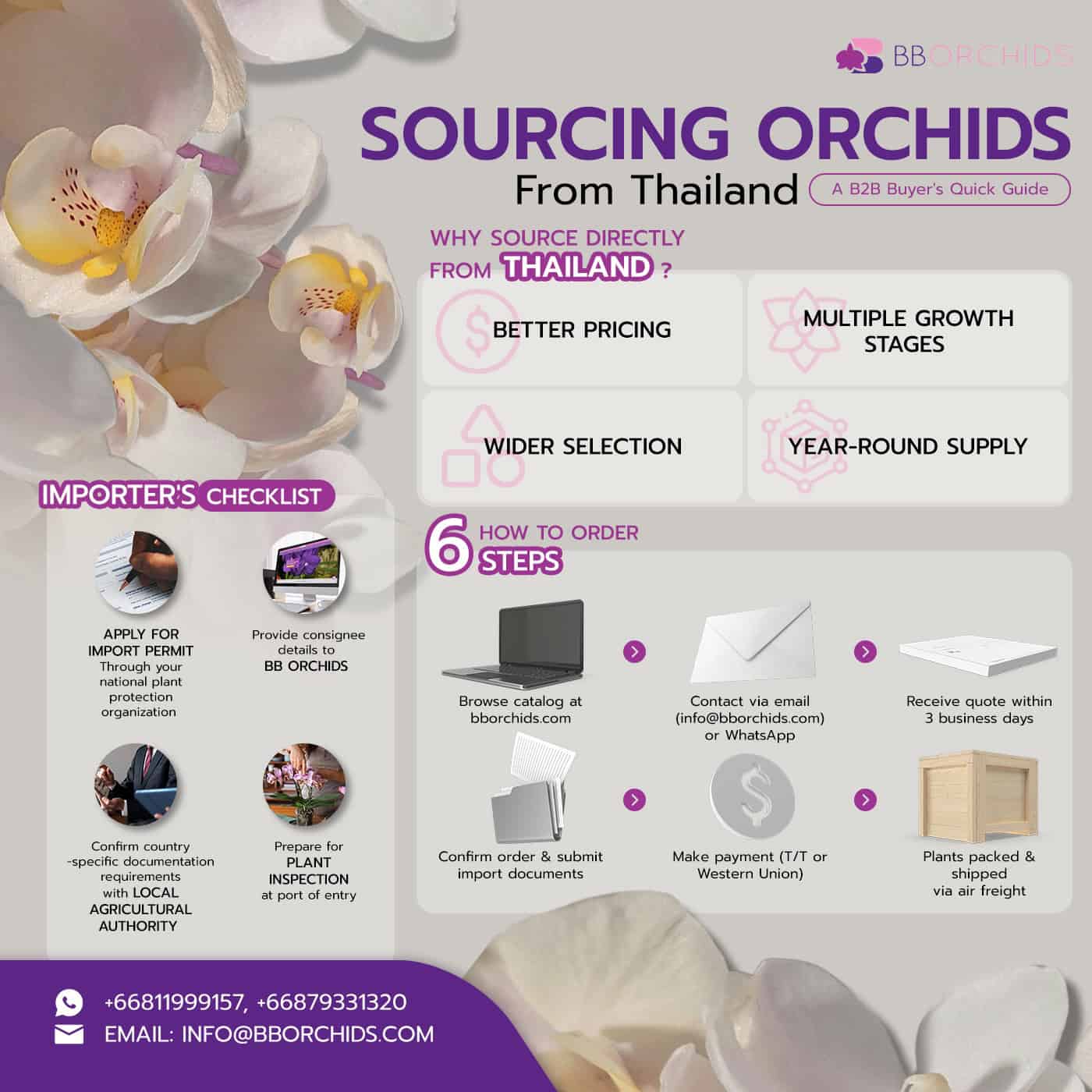 How Thai orchid farms with international shipping support B2B buyers