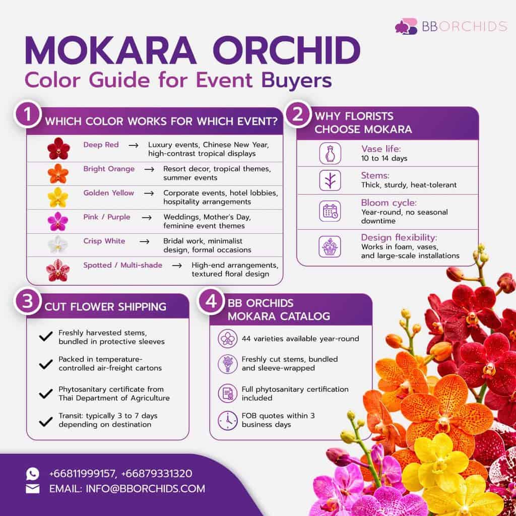 Mokara Orchid Color Guide for Event Buyers